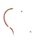 Miss Les Poland